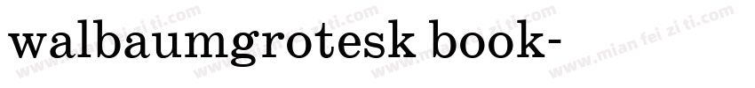 walbaumgrotesk book字体转换